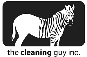 cleaning guy