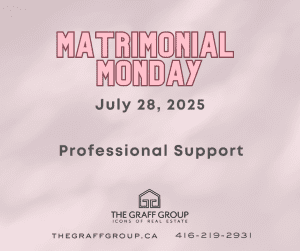 Professional Support