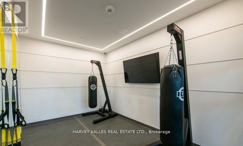 4 - 60 George Butchart Drive, Toronto, Ontario  M3K 0E1 - Photo 46 - W12399798