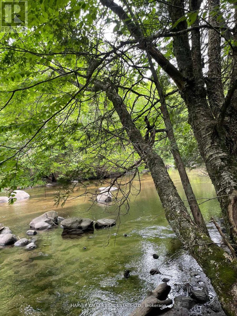 79 Gummow Road, Trent Hills, Ontario K0K 3K0 - Photo 2 - X12442309