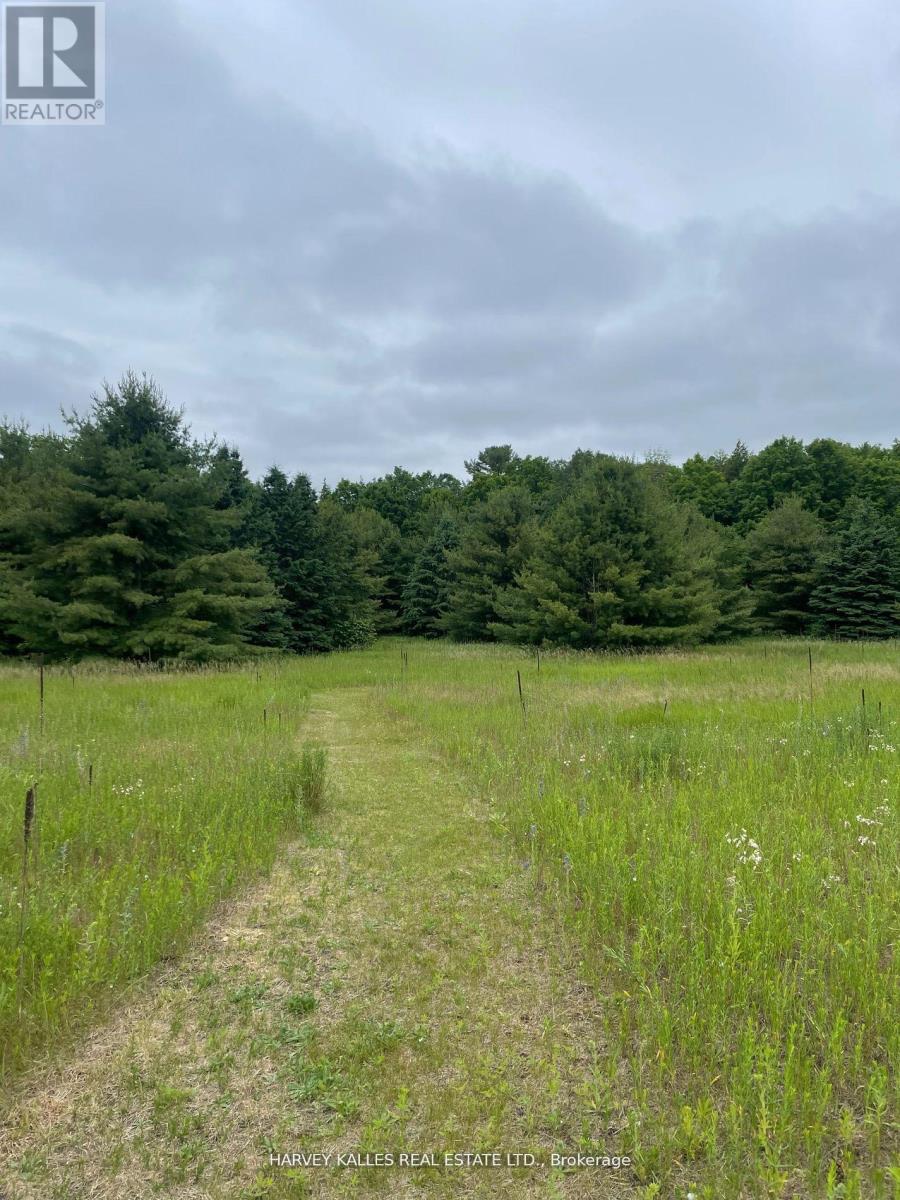79 Gummow Road, Trent Hills, Ontario K0K 3K0 - Photo 5 - X12442309