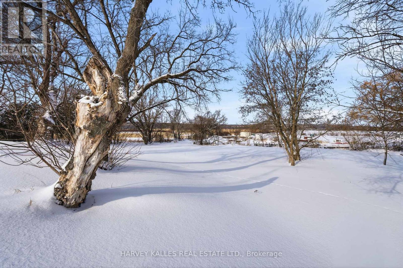 4427 County Rd 8, Prince Edward County, Ontario  K0K 2T0 - Photo 30 - X12583650