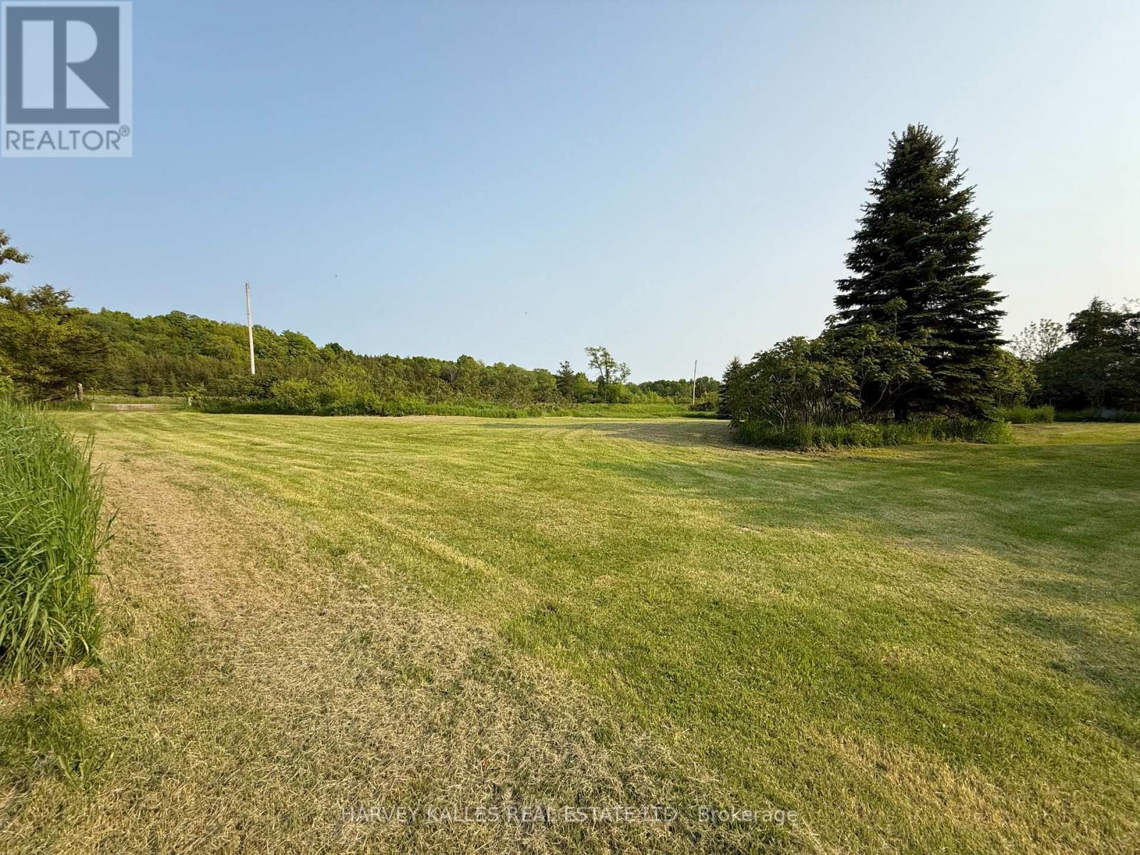 1032 County Road 13 Road, Prince Edward County, Ontario  K0K 2P0 - Photo 8 - X12611152