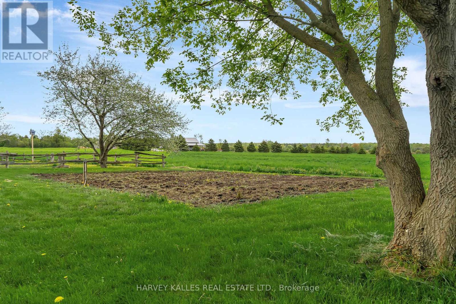 13965 Loyalist Parkway, Prince Edward County, Ontario K0K 2T0 - Photo 33 - X12635328