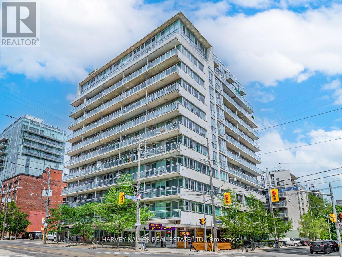 311 - 38 Niagara Street, Toronto, Ontario M5V 3X1 - Photo 2 - C12653100