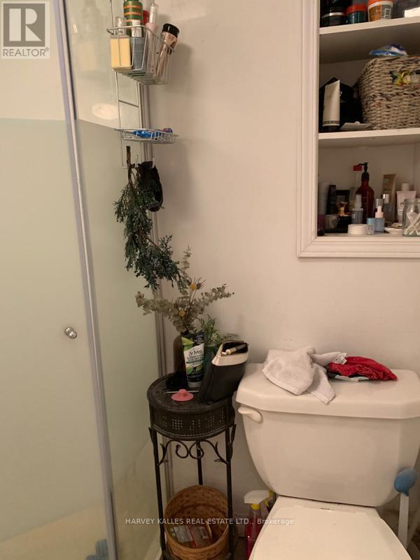 Lower - 32 Fuller Avenue, Toronto, Ontario  M6R 2C3 - Photo 10 - W12711466