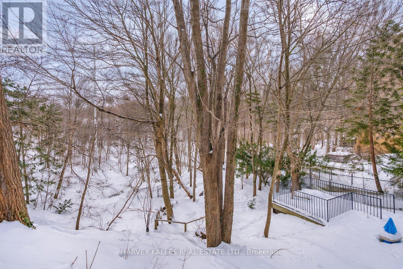 33 Glengowan Road, Toronto, Ontario  M4N 1E9 - Photo 46 - C12794354