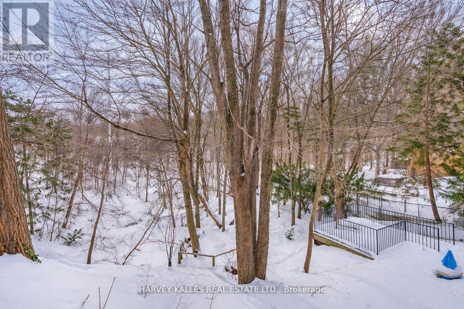 33 Glengowan Road, Toronto, Ontario  M4N 1E9 - Photo 46 - C12850836