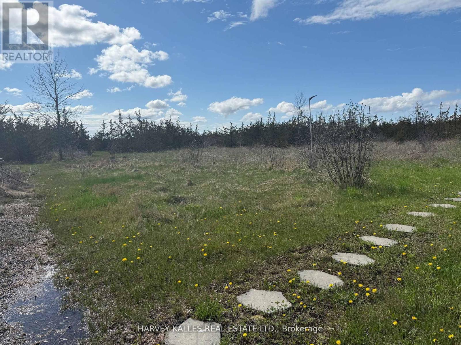 390 County Road 25, Prince Edward County, Ontario  K0K 2T0 - Photo 10 - X12865930