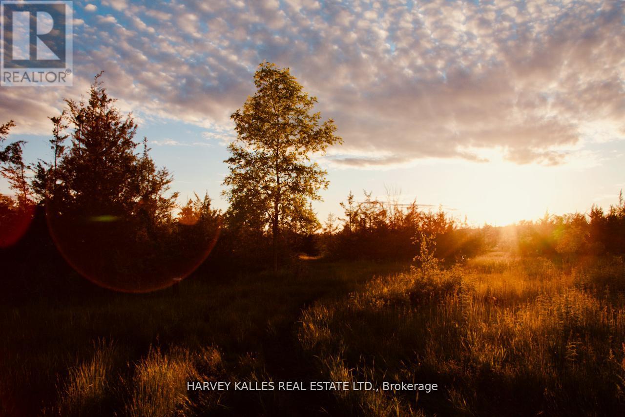 390 County Road 25, Prince Edward County, Ontario  K0K 2T0 - Photo 11 - X12865930