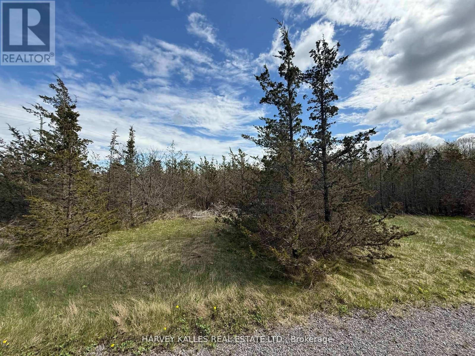 390 County Road 25, Prince Edward County, Ontario  K0K 2T0 - Photo 6 - X12865930