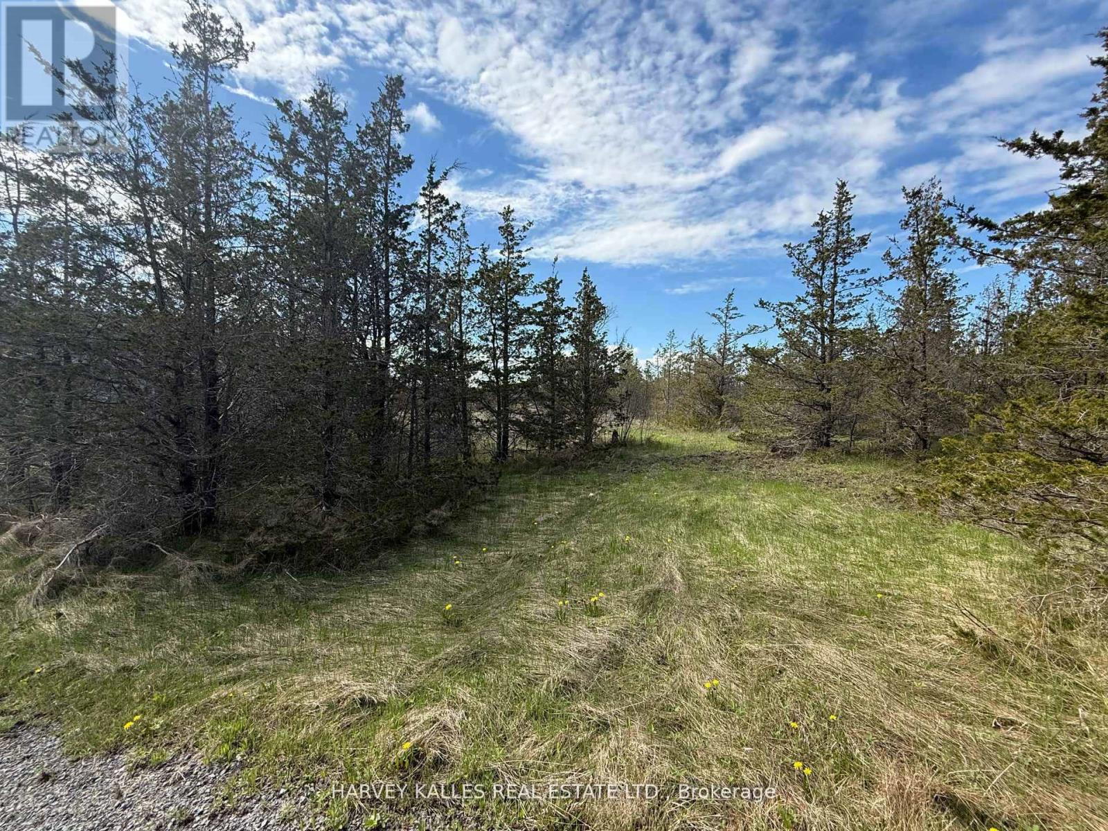 390 County Road 25, Prince Edward County, Ontario  K0K 2T0 - Photo 7 - X12865930