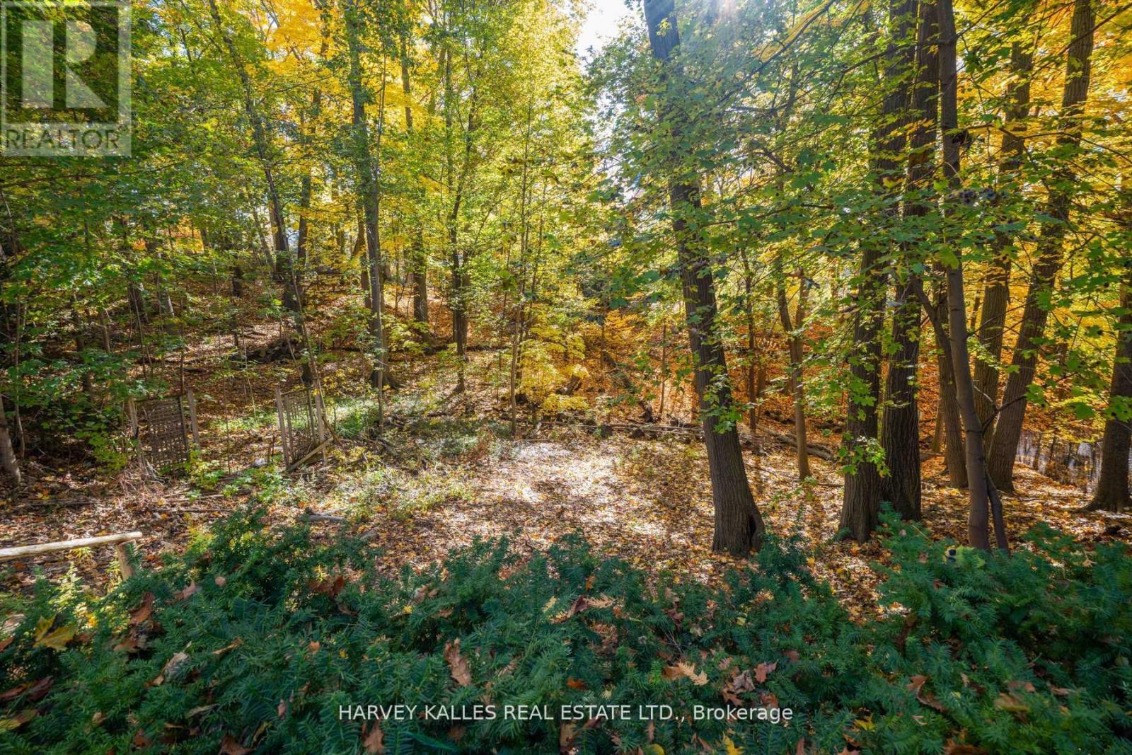 7 Ridgewood Road, Toronto, Ontario  M5P 1T4 - Photo 27 - C12929074