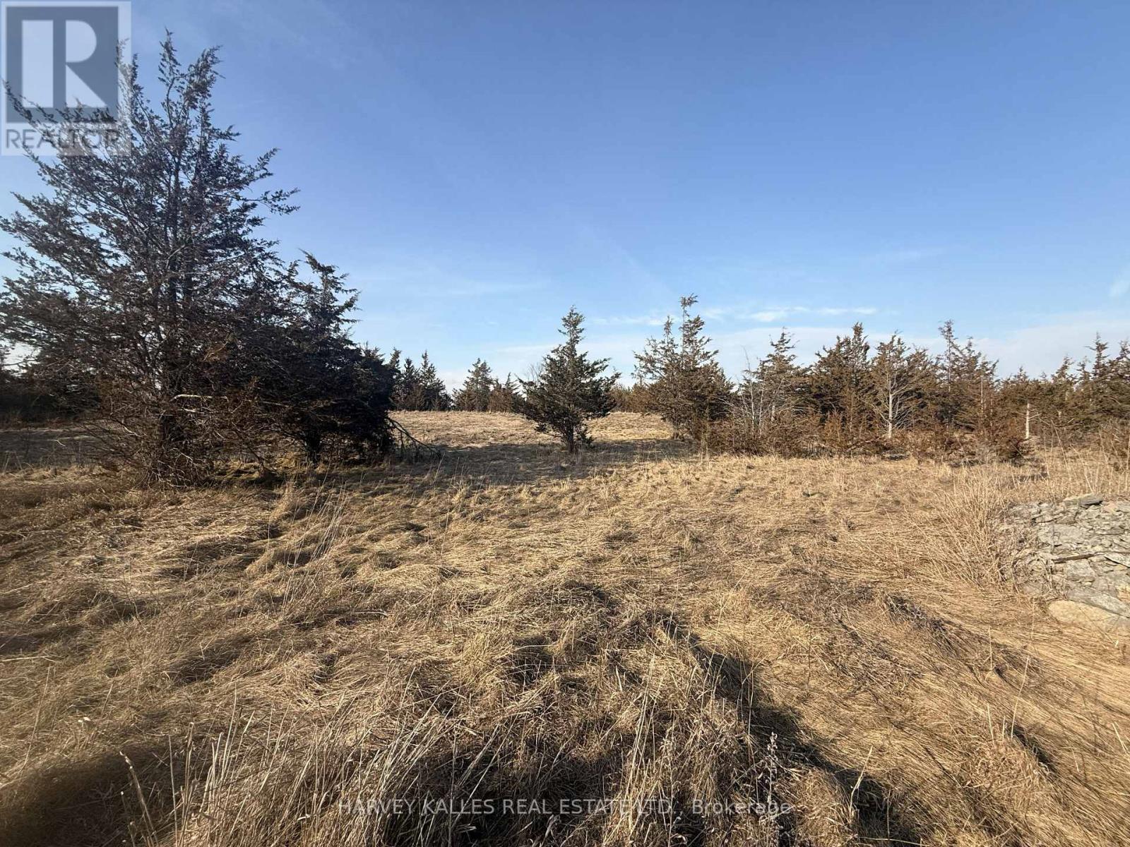 Lot 63 Oram Road, Prince Edward County, Ontario  K0K 1G0 - Photo 10 - X12946832