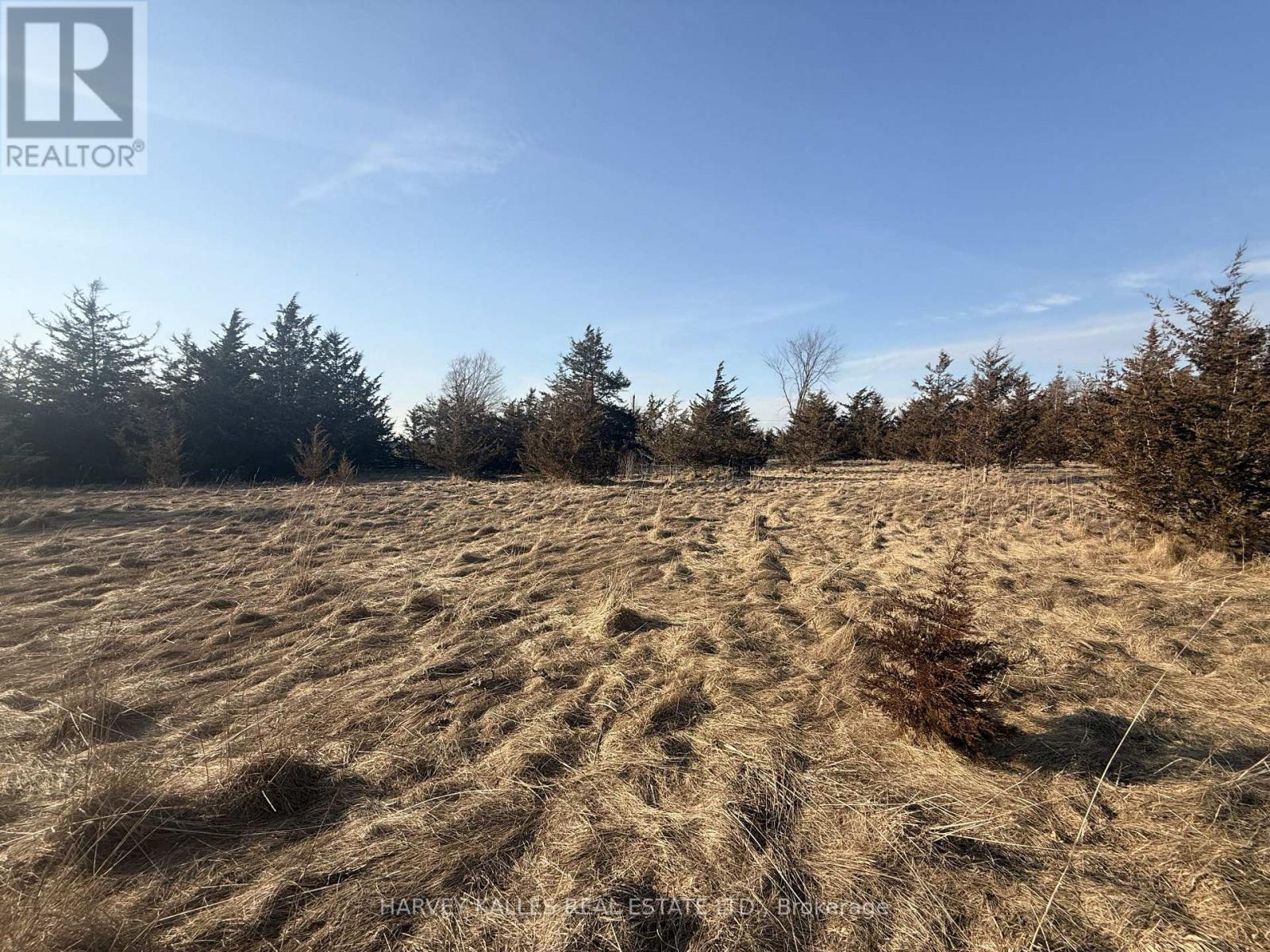 Lot 63 Oram Road, Prince Edward County, Ontario  K0K 1G0 - Photo 11 - X12946832