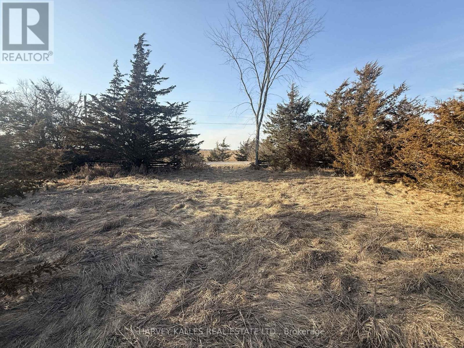 Lot 63 Oram Road, Prince Edward County, Ontario  K0K 1G0 - Photo 12 - X12946832