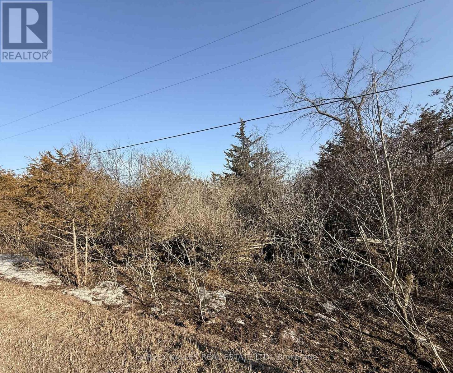 Lot 63 Oram Road, Prince Edward County, Ontario  K0K 1G0 - Photo 13 - X12946832