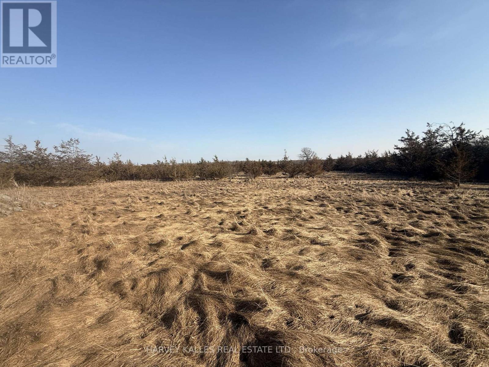 Lot 63 Oram Road, Prince Edward County, Ontario  K0K 1G0 - Photo 2 - X12946832