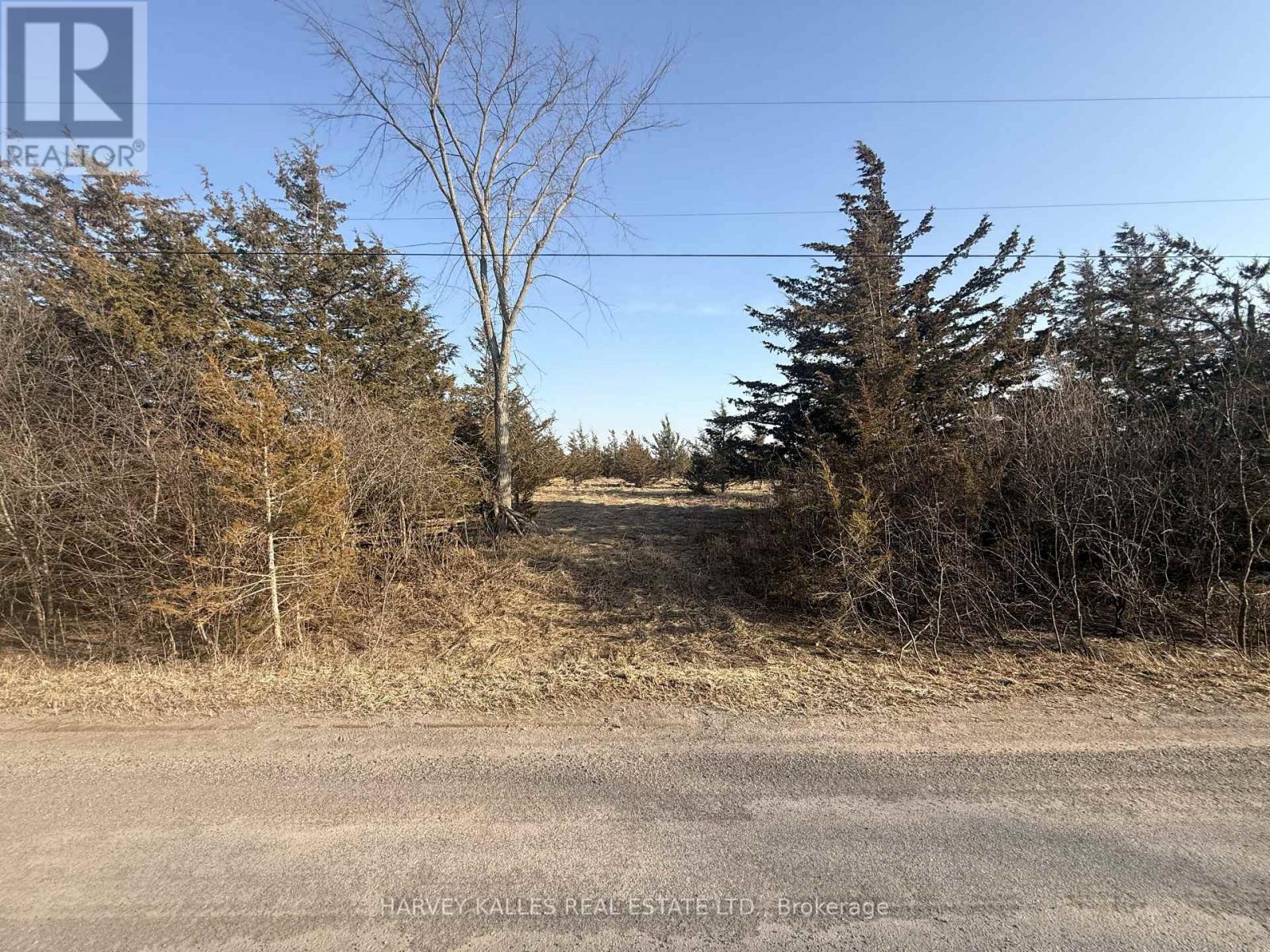 Lot 63 Oram Road, Prince Edward County, Ontario  K0K 1G0 - Photo 3 - X12946832