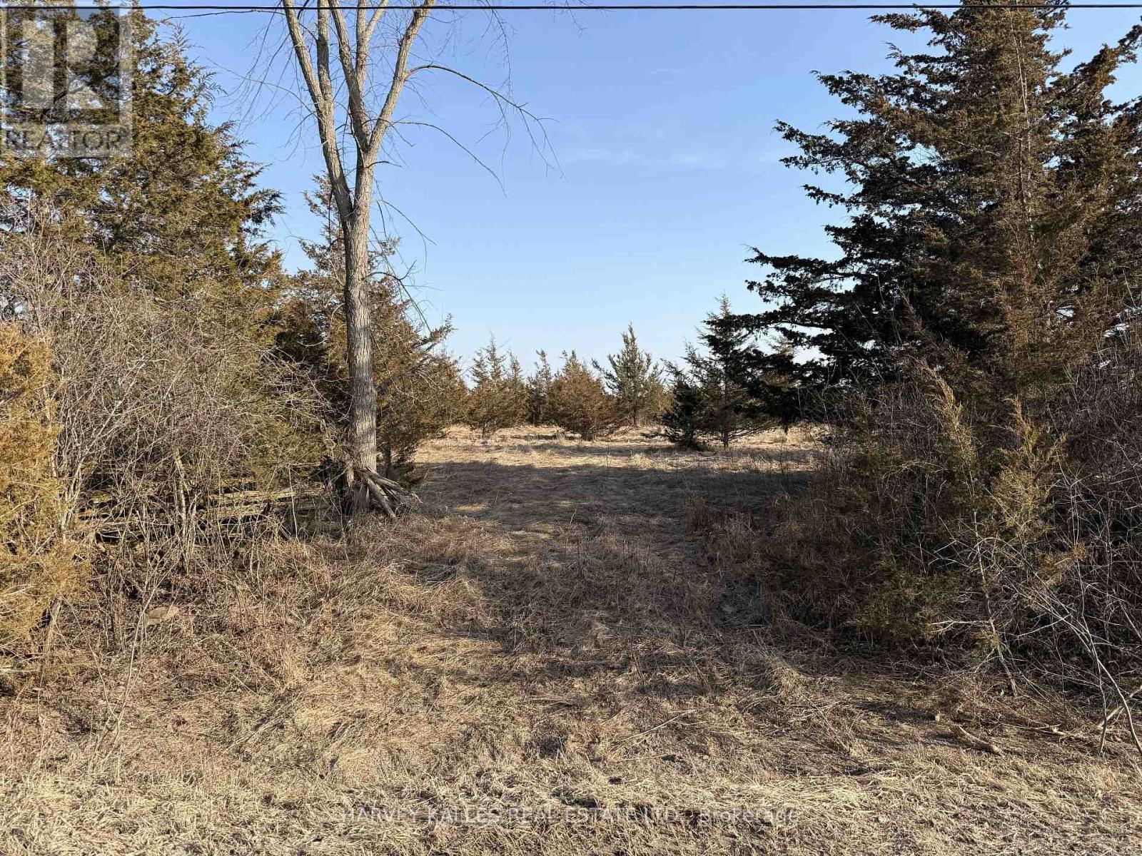 Lot 63 Oram Road, Prince Edward County, Ontario  K0K 1G0 - Photo 4 - X12946832