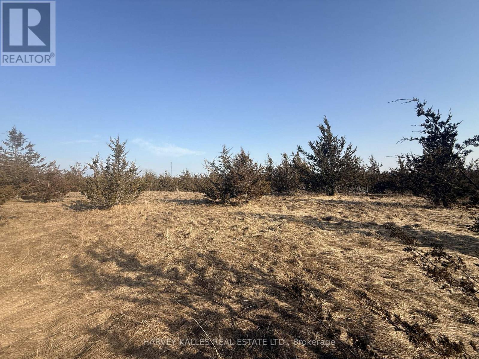Lot 63 Oram Road, Prince Edward County, Ontario  K0K 1G0 - Photo 5 - X12946832