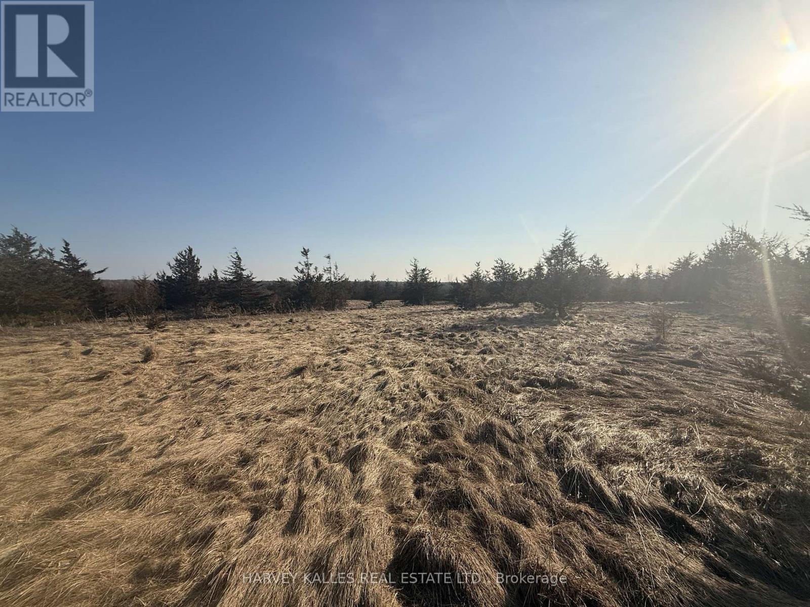 Lot 63 Oram Road, Prince Edward County, Ontario  K0K 1G0 - Photo 6 - X12946832