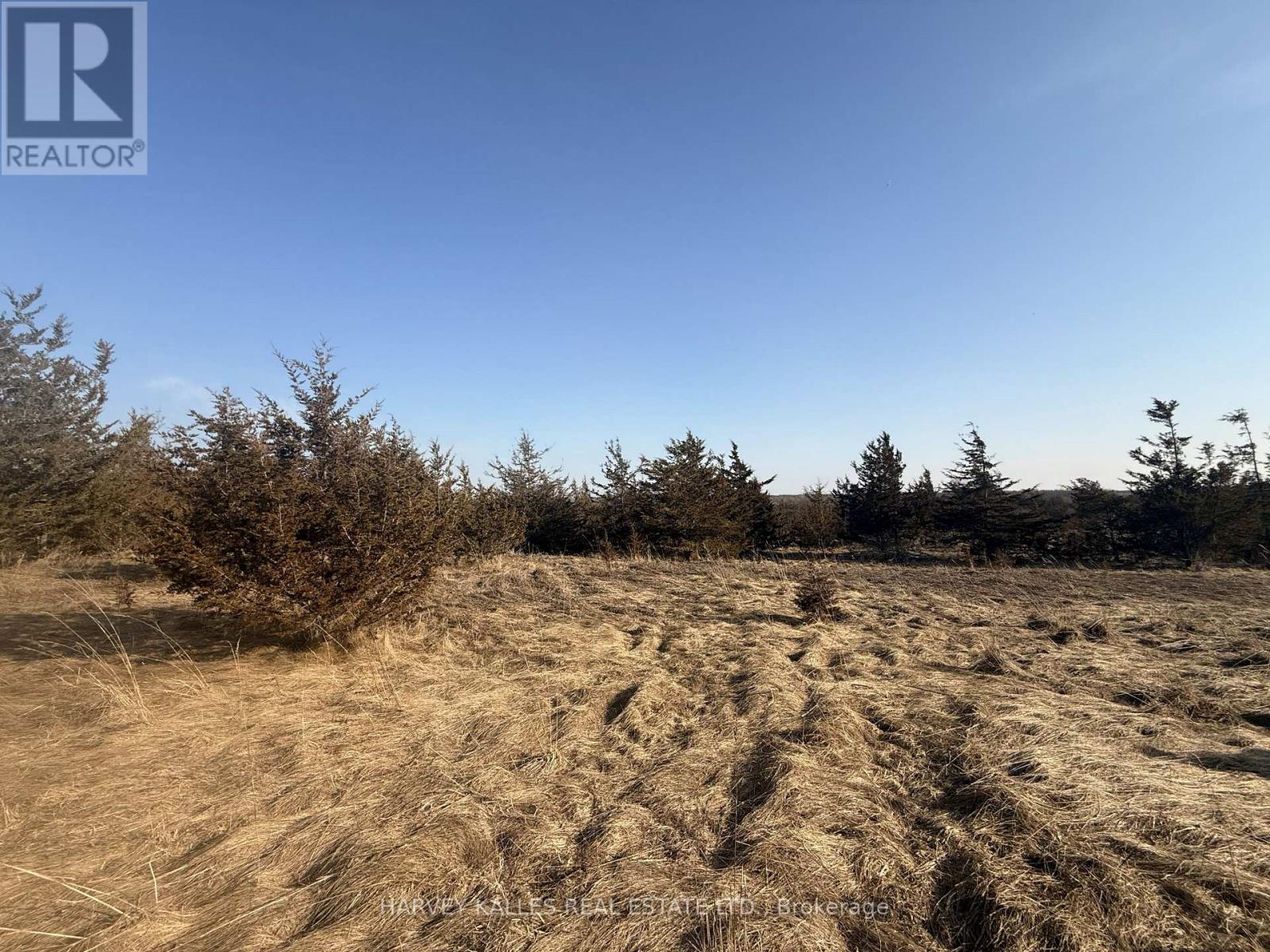 Lot 63 Oram Road, Prince Edward County, Ontario  K0K 1G0 - Photo 7 - X12946832