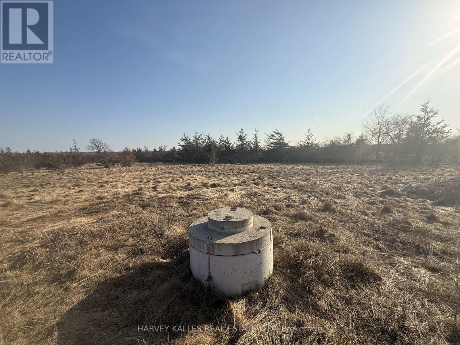 Lot 63 Oram Road, Prince Edward County, Ontario  K0K 1G0 - Photo 9 - X12946832