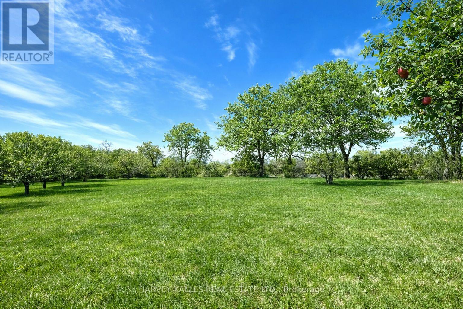 11 Melville Road, Prince Edward County, Ontario  K0K 2T0 - Photo 10 - X12948440