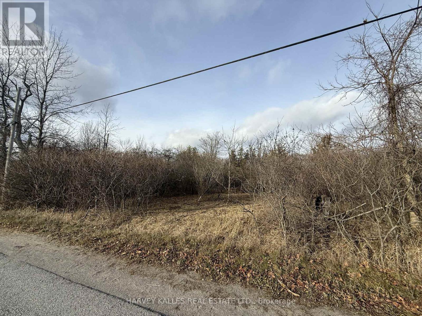 Beside 2885 County Road 10, Prince Edward County, Ontario K0K 2P0 - Photo 2 - X12989340