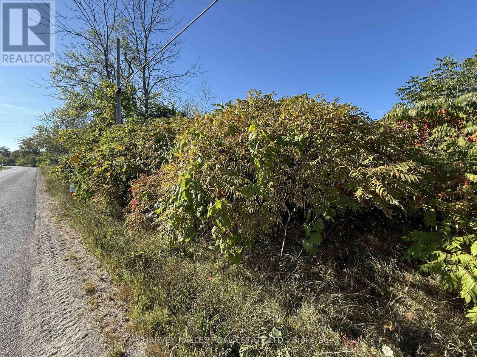 Beside 2885 County Road 10, Prince Edward County, Ontario K0K 2P0 - Photo 3 - X12989340