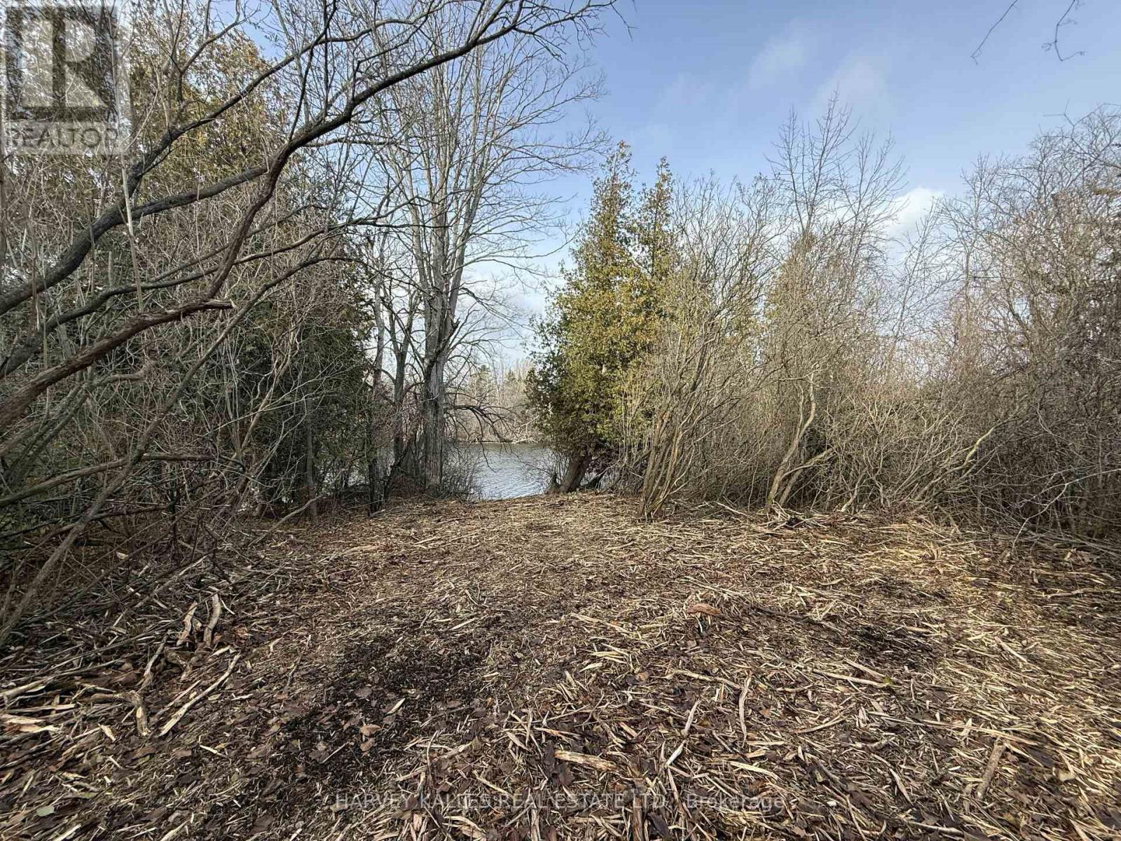 Beside 2885 County Road 10, Prince Edward County, Ontario K0K 2P0 - Photo 4 - X12989340