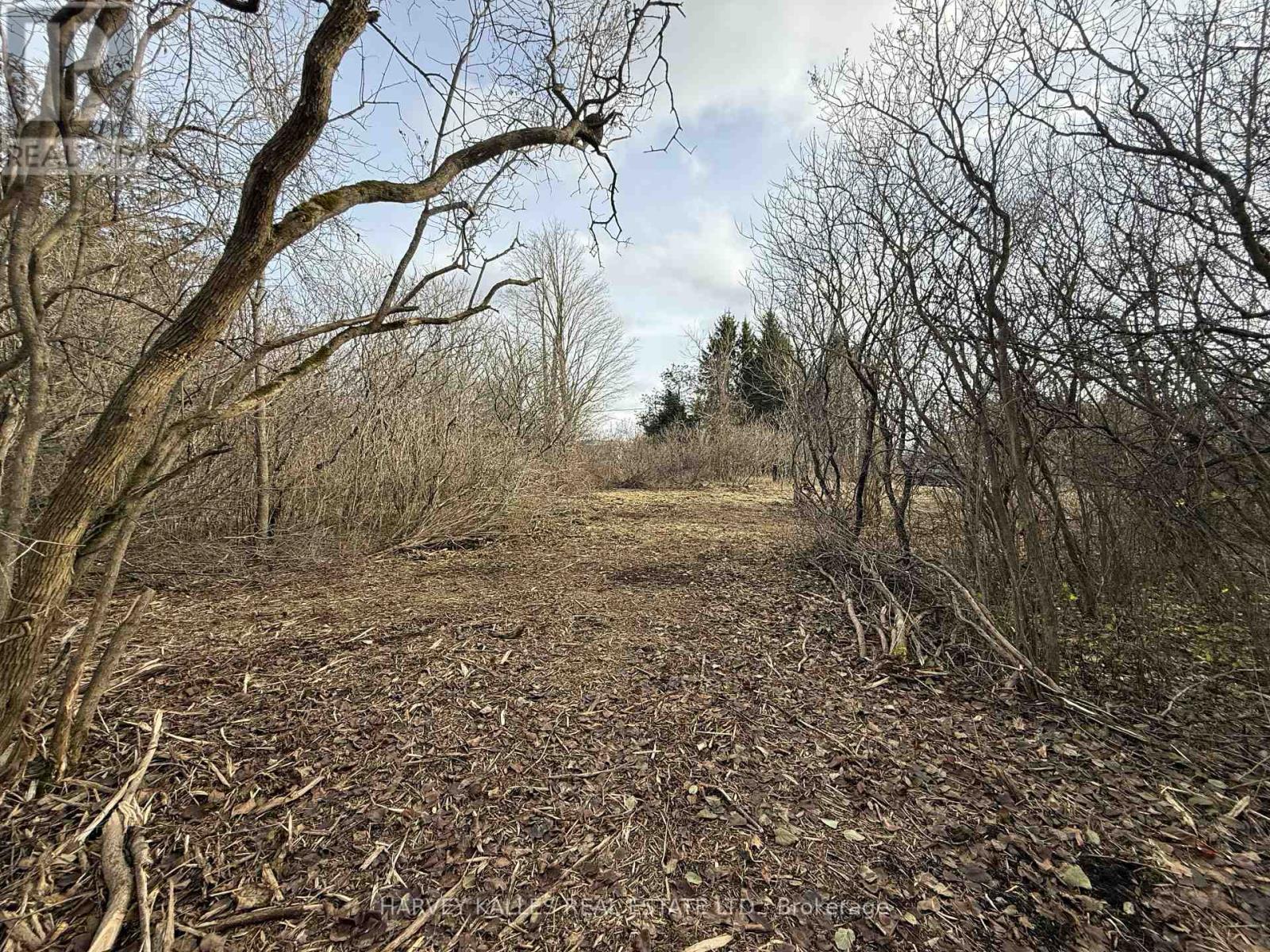 Beside 2885 County Road 10, Prince Edward County, Ontario K0K 2P0 - Photo 7 - X12989340