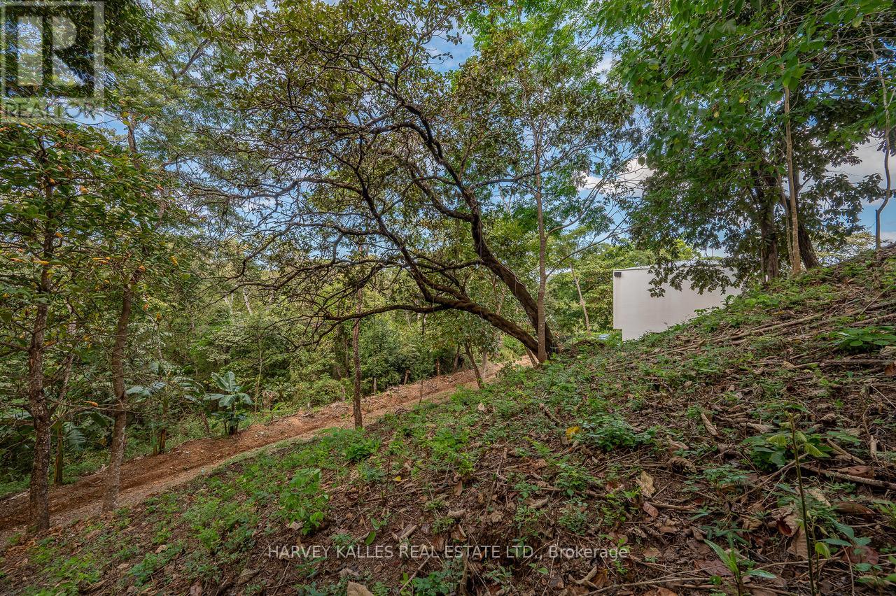 1 Puerto Viejo Condominio Lomas De Conchal, Casa 37, Costa Rica, Ontario - Photo 48 - X13003718