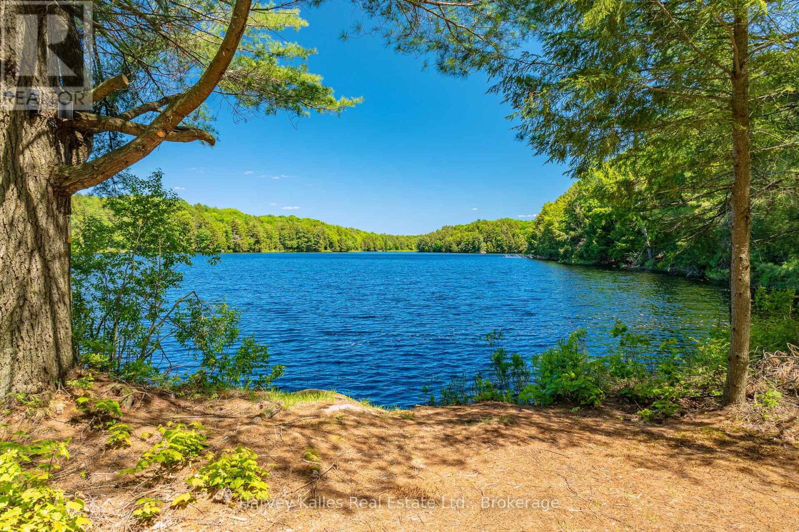 643B HIGHWAY 632, Seguin, Ontario