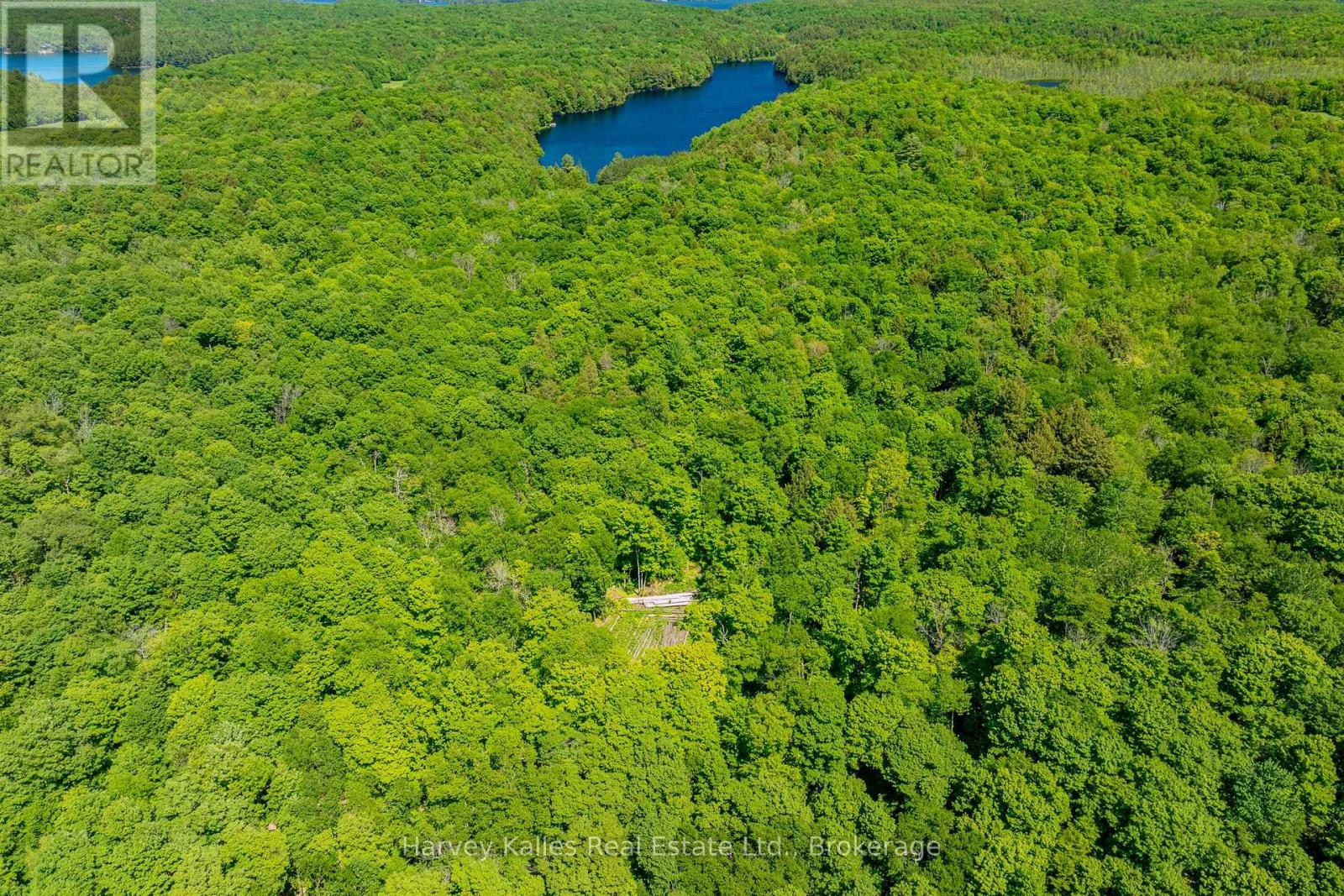 643b Highway 632, Seguin, Ontario P2A 2W8 - Photo 16 - X13102080