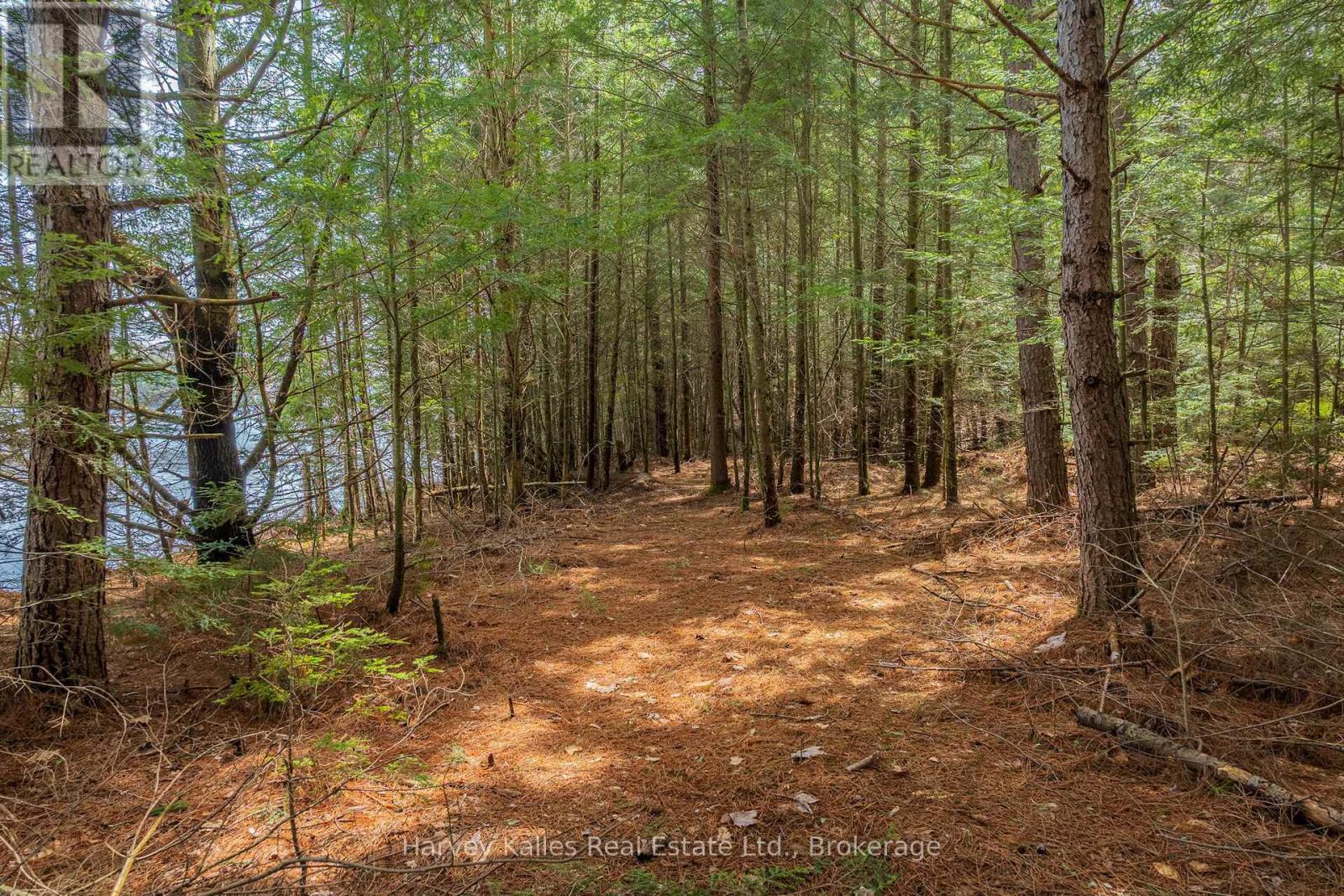 643b Highway 632, Seguin, Ontario P2A 2W8 - Photo 17 - X13102080