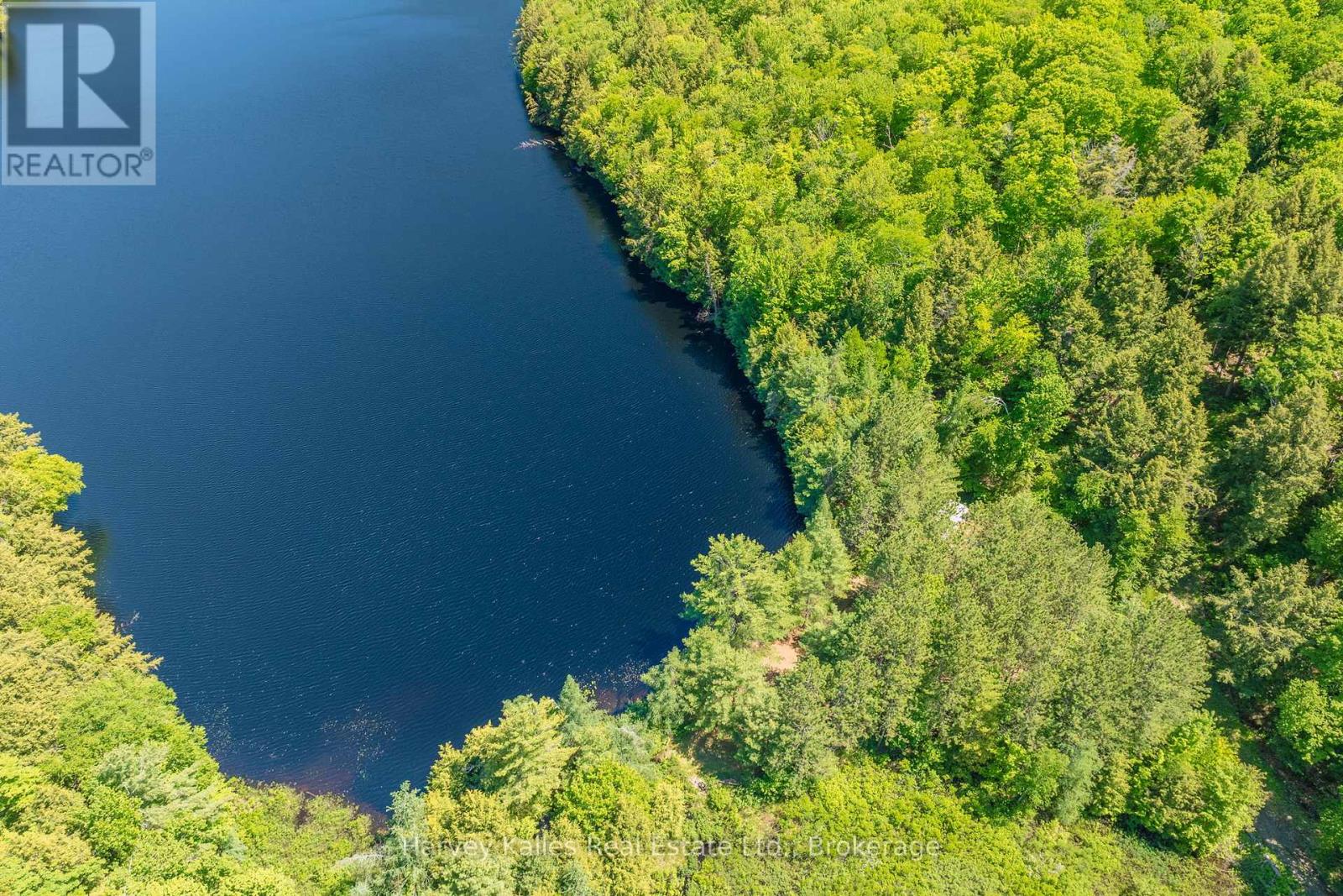 643b Highway 632, Seguin, Ontario P2A 2W8 - Photo 6 - X13102080