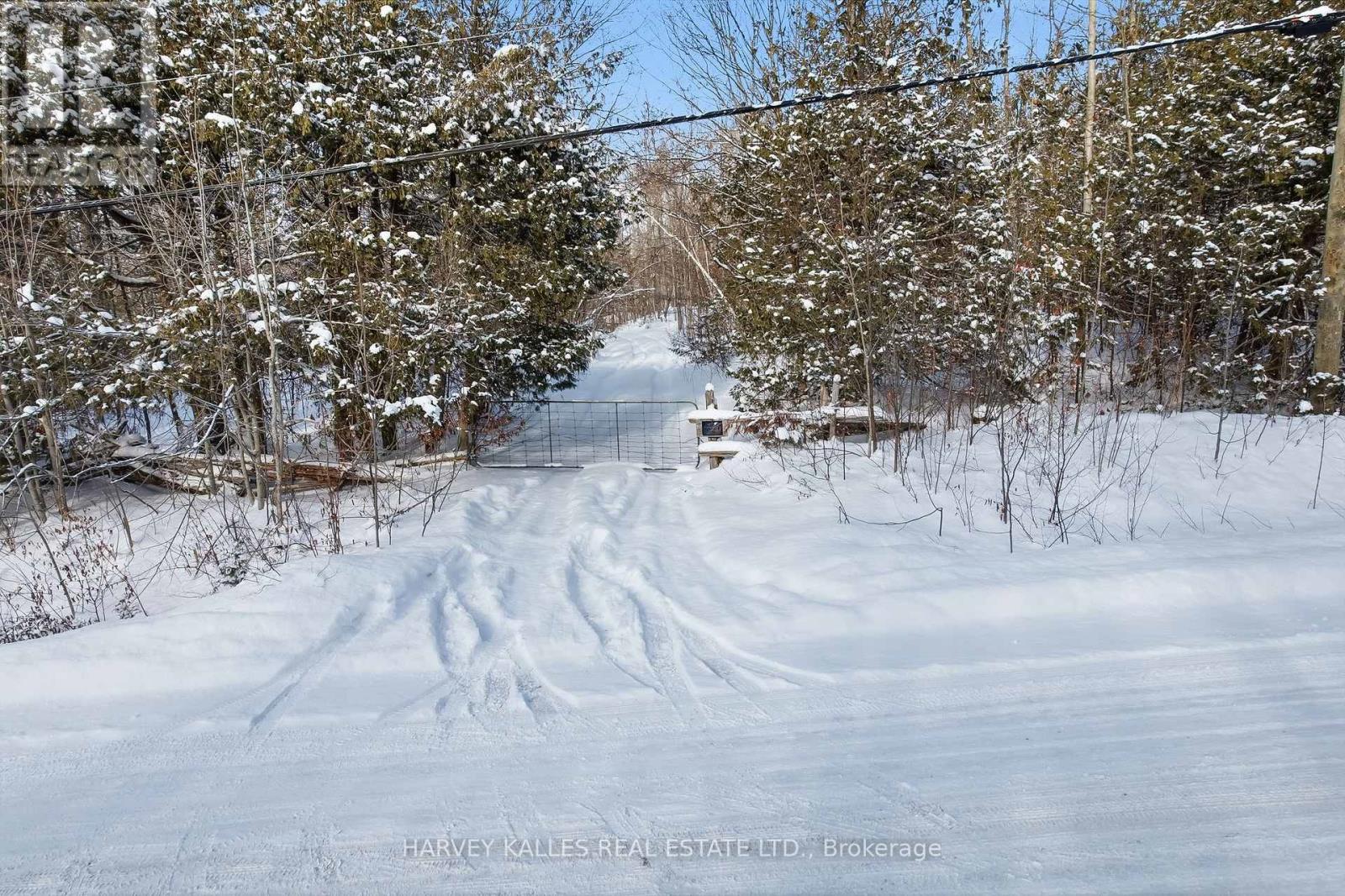 3020 Finley Road, Selwyn, Ontario K0L 2H0 - Photo 10 - X13197956