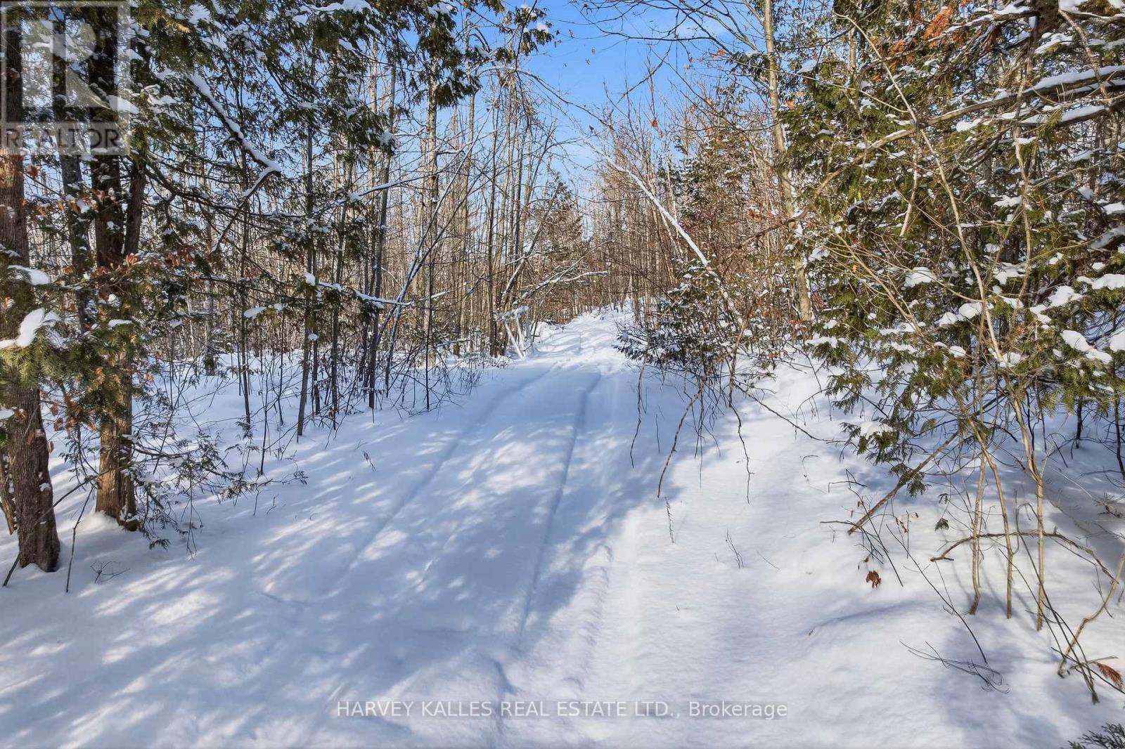 3020 Finley Road, Selwyn, Ontario K0L 2H0 - Photo 11 - X13197956