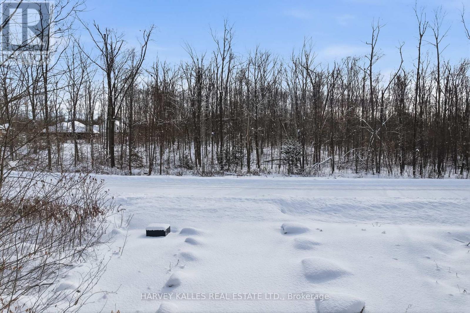 3020 Finley Road, Selwyn, Ontario K0L 2H0 - Photo 16 - X13197956