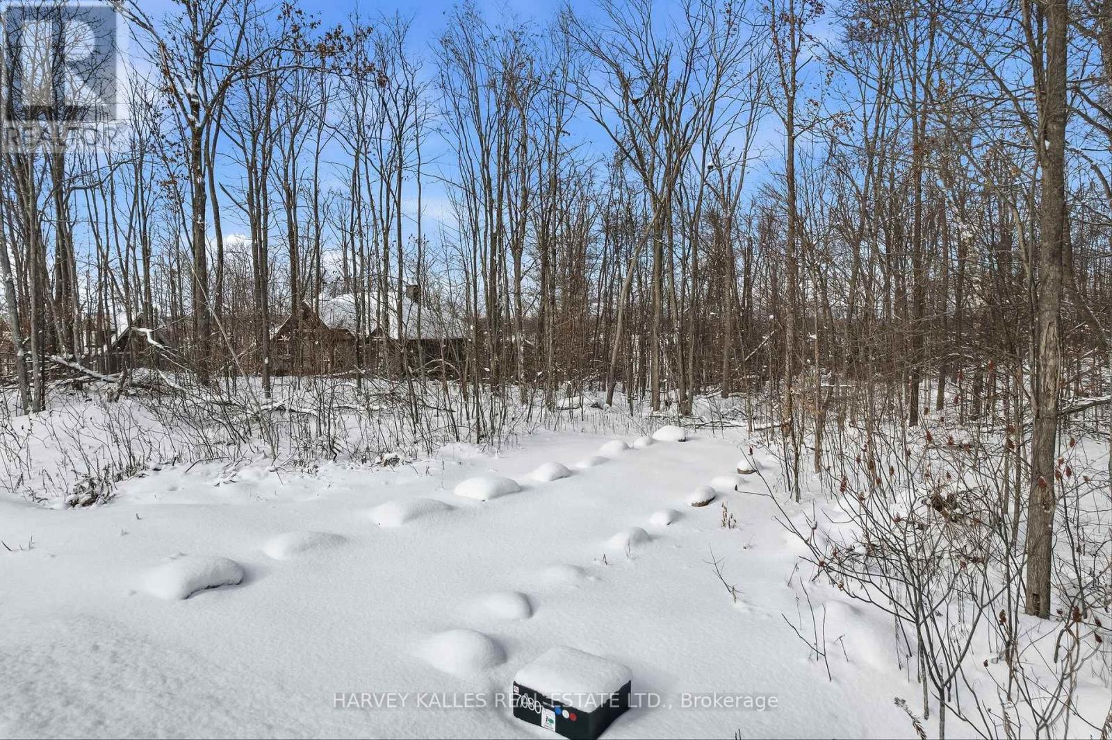 3020 Finley Road, Selwyn, Ontario K0L 2H0 - Photo 17 - X13197956