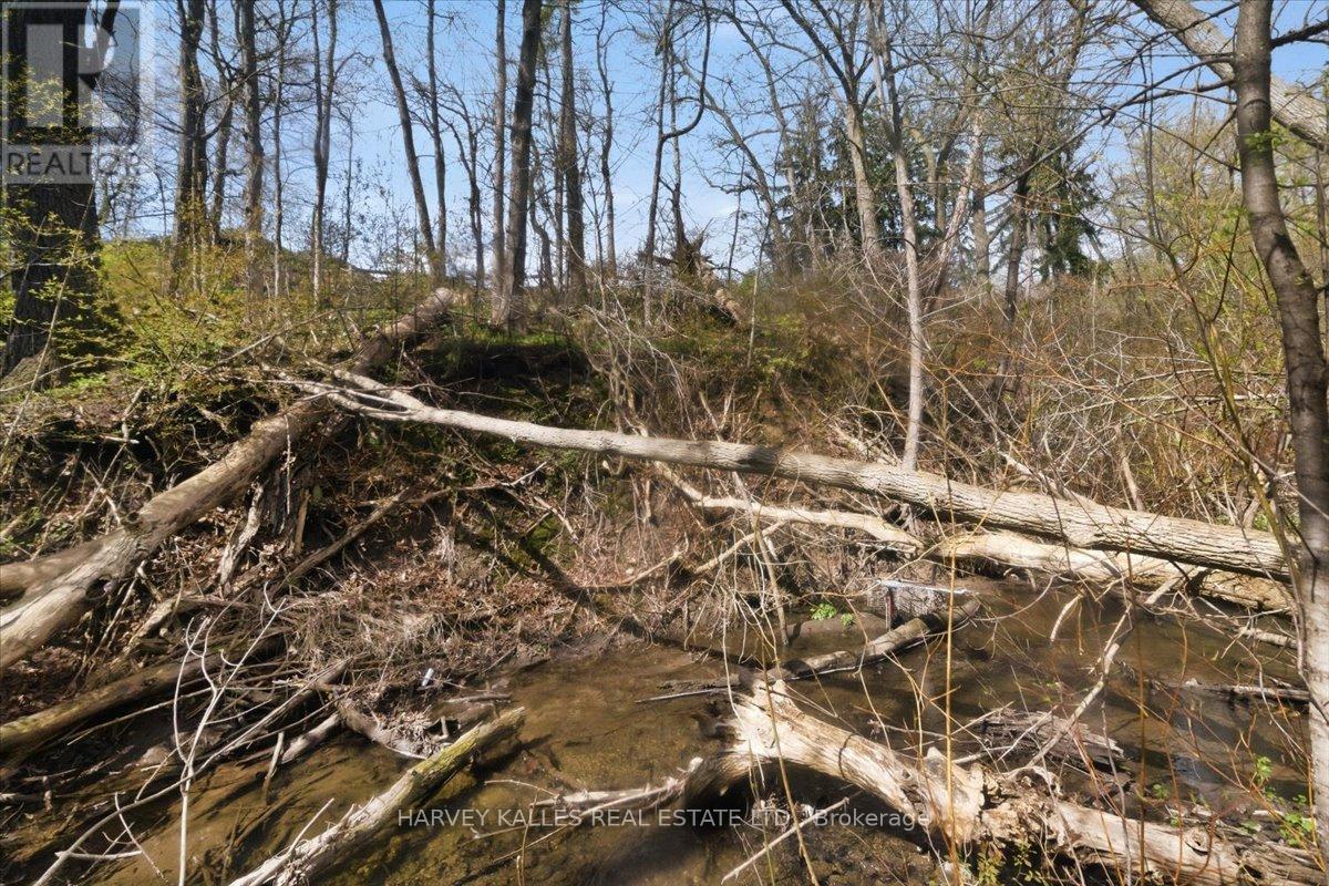 72 Walmer Road, Richmond Hill, Ontario  L4C 3X1 - Photo 45 - N13418986