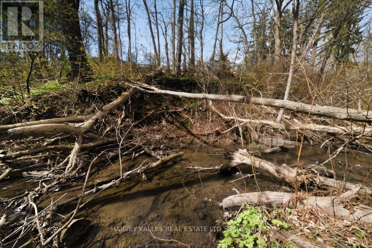 72 Walmer Road, Richmond Hill, Ontario  L4C 3X1 - Photo 46 - N13418986