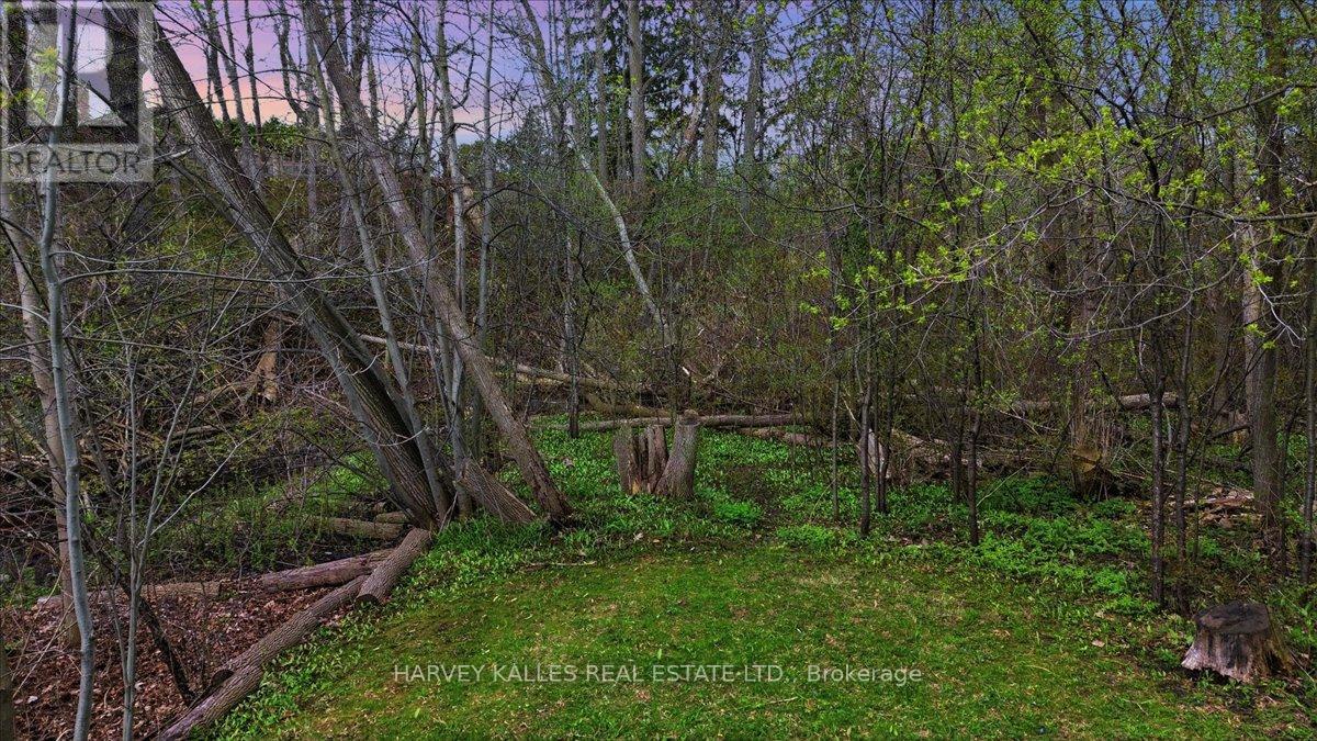 72 Walmer Road, Richmond Hill, Ontario  L4C 3X1 - Photo 49 - N13418986