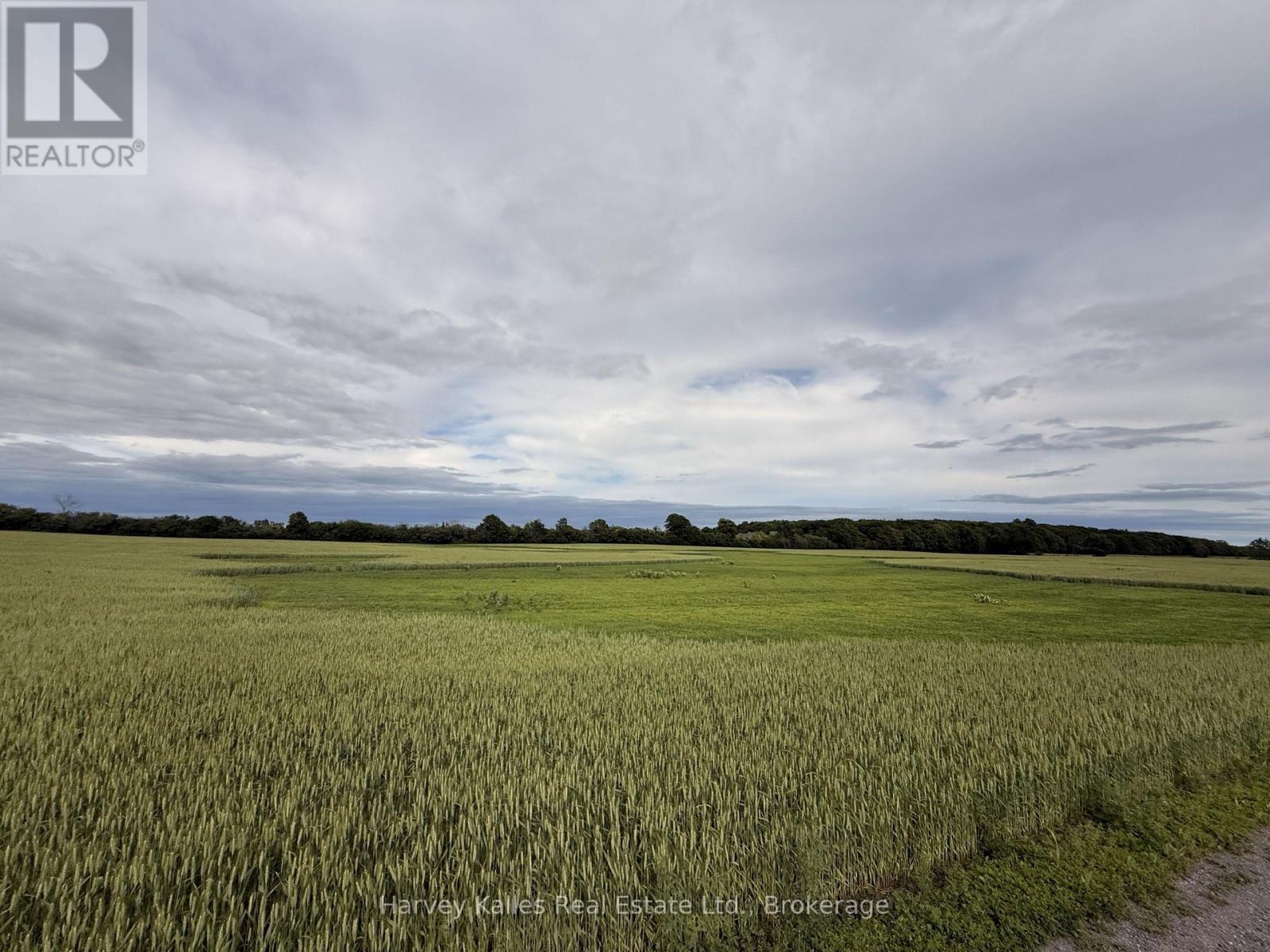 Beside 243 Morgan Road, Prince Edward County, Ontario K0K 1G0 - Photo 2 - X13453288
