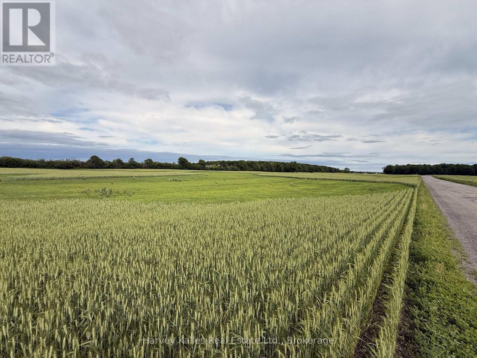 Beside 243 Morgan Road, Prince Edward County, Ontario K0K 1G0 - Photo 3 - X13453288