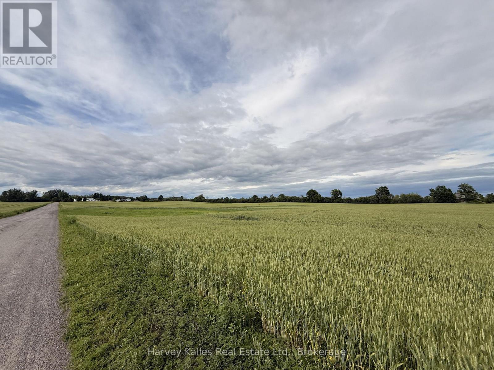 Beside 243 Morgan Road, Prince Edward County, Ontario K0K 1G0 - Photo 5 - X13453288