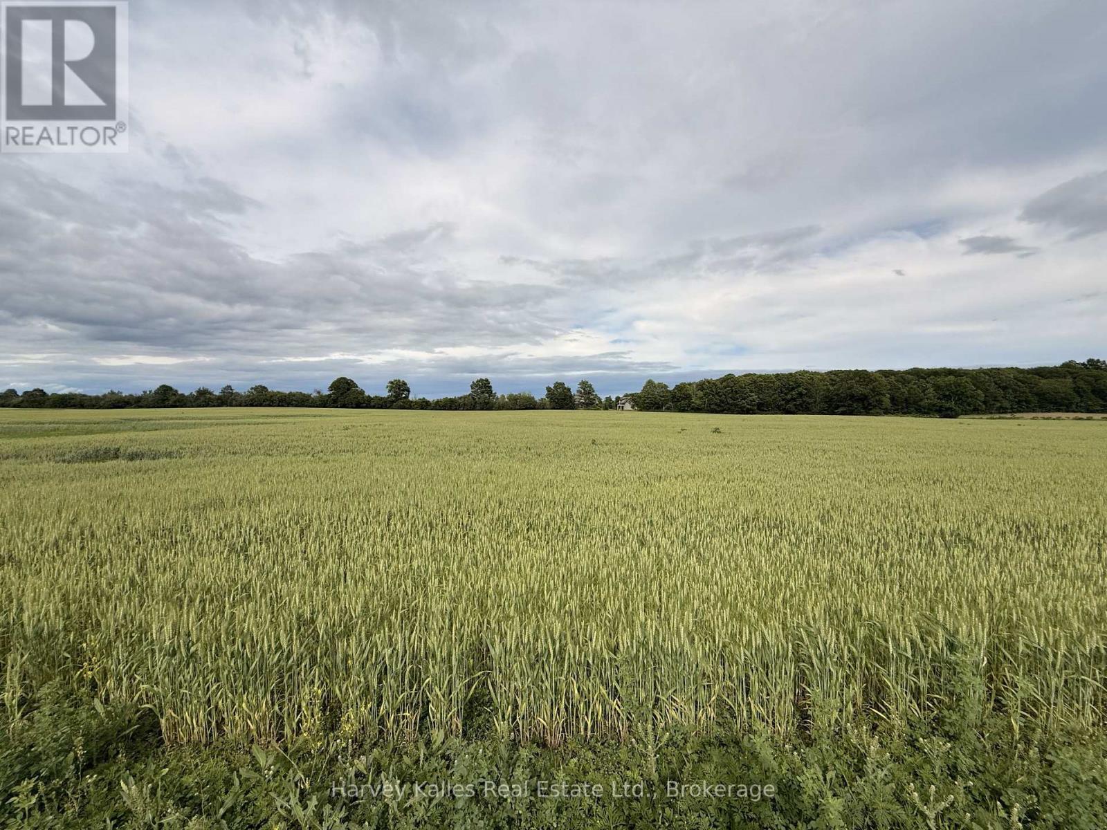 Beside 243 Morgan Road, Prince Edward County, Ontario K0K 1G0 - Photo 6 - X13453288