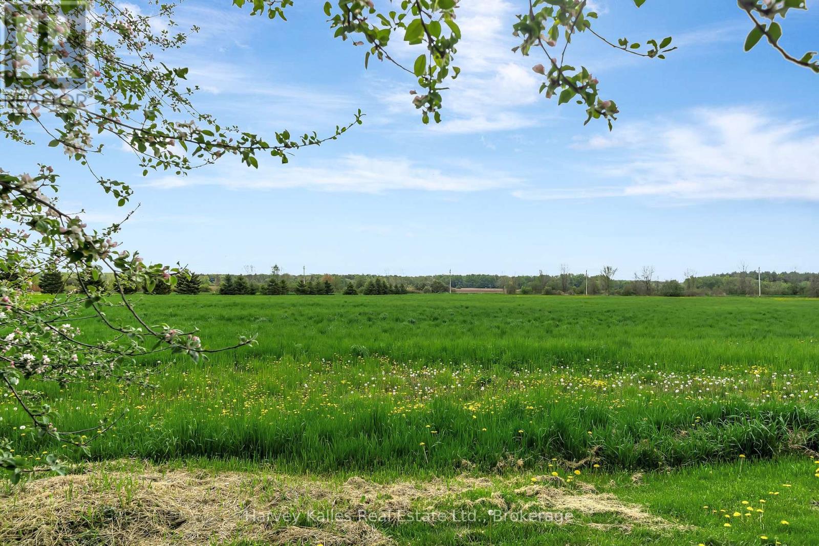 13965 Loyalist Parkway, Prince Edward County, Ontario K0K 2T0 - Photo 43 - X13476862